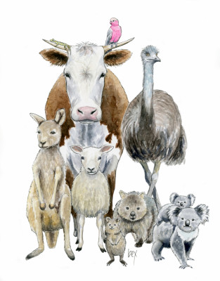 https://www.rebeccahinson.com/image/cache/data/artwork/illustrations/australia-animals-400x400-fh.jpg