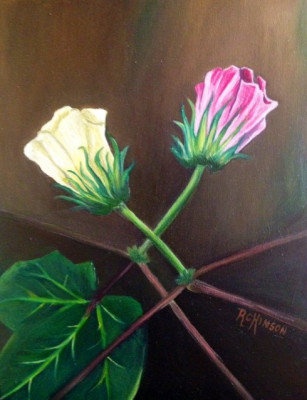 https://www.rebeccahinson.com/image/cache/data/artwork/paintings/2011/cotton_flowers-400x400-fh.jpg