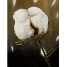 King Cotton Canvas Giclee