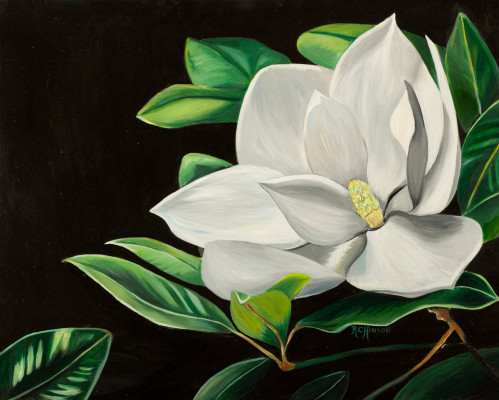 https://www.rebeccahinson.com/image/cache/data/artwork/paintings/2011/magnolia-blossom-400x400-fh.jpg